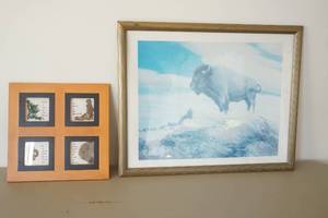 lot 631 image: Bison Artwork wframes