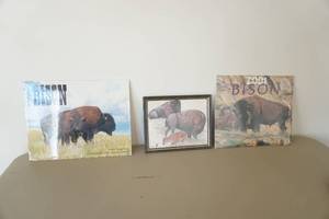 lot 634 image: Bison Calendar Photos and art