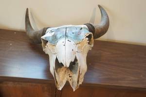 lot 698 image: Painted Bison Skull
