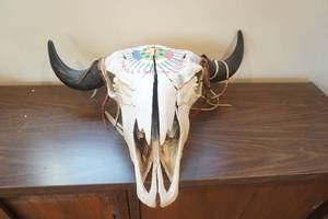 lot 700 image: Painted Bison Skull