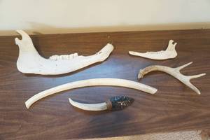 lot 733 image: Assorted Bones and ObsidianGlass Knife