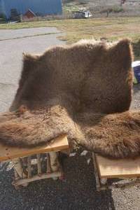 lot 783 image: bison hide