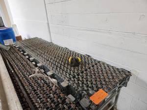 Conveyor Roller
