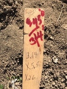 34 Black Plastic Water Line (450)