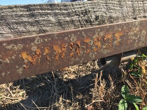 Old Homemade Steel Wheel Trailer (Minnesota)