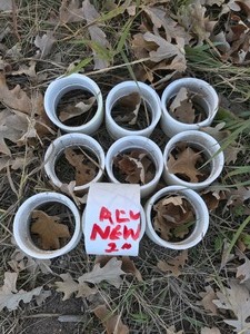 2 PVC Pipe & Fittings