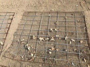 52 x 64 Cattle Panels (3 pcs)