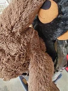 Stuff Animals and Childrens Blocks