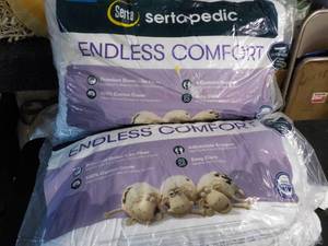 2 SQ Serta Endless Comfort Pillows...