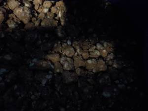 30 lb. Box Frozen Homestyle Peanut ...