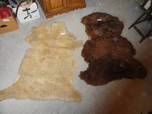 2 Sheep Skin Tan & Brown (Seat covers)