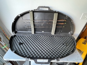 Bow Case and 3 Arrows