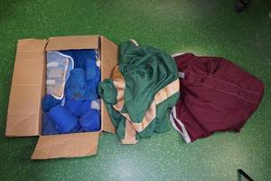lot 123 image: 2 Horse Blankets with Leg Wraps -Red and Green