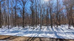 No Reserve 0.48 Acre Buildable Lot in Famous Sylvan Shores