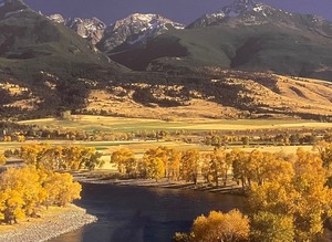 lot 71 image: Fabulous Framed Photo of the Yellowstone River in Montana