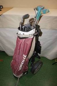 Assorted Golf Clubs and Wilson Bag with Caddy