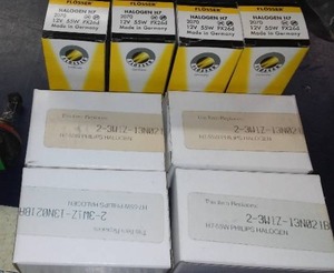 Bulbs, Variety, See Pics