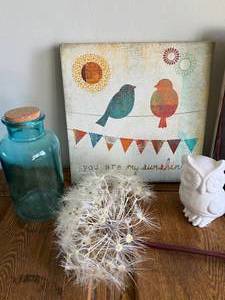 Decorations Pictures, Blue Jar, White Owl, Dandelion & More