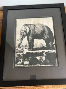 Black and White Elephant Picture