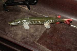 lot 514 image: 10 Fish Lure
