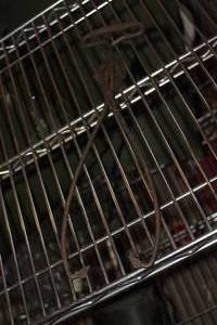 lot 743 image: Vintage Ice Tongs