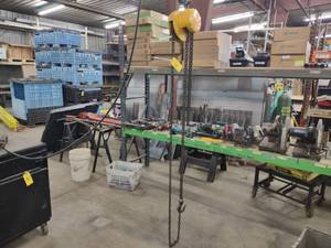lot 72 image: Yale 12 Ton Chain Hoist...