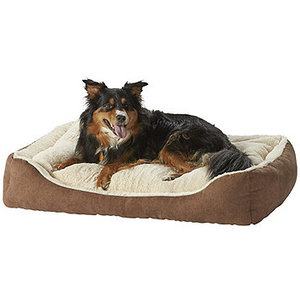 Pet Bed with Removable Pillow