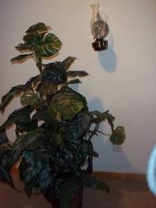lot 16 image: 5 foot artificial plant.