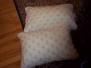 lot 176 image: 2 pillows