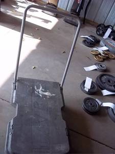 lot 48 image: 200lb capacity poly flatbed style c...