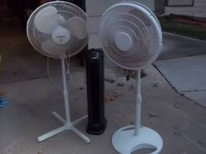 lot 342 image: Fans...