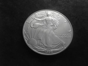 1999 Silver Eagle Dollar 1 Oz. 99.9 Fine Silver MS From Unc Roll