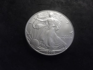 2002 Silver Eagle Dollar 1 Oz. 99.9 Fine Silver MS From Unc Roll