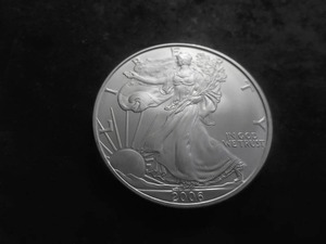2006 Silver Eagle Dollar 1 Oz. 99.9 Fine Silver MS From Unc Roll