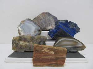 lot 49 image: Larger Rocks Agates Petrified Wood etc