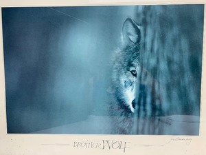 lot 328 image: Framed Signed Jim Brandenburg Print - Brother Wolf