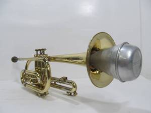 lot 343 image: Vintage Horton Collegiate Model C-602 Cornet wCase