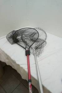lot 326 image: Fishing Nets