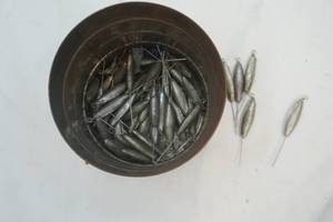 lot 333 image: Fishing Weights
