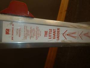 lot 101 image: The Little Giant Ladder