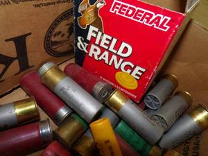 Assorted Lot of Shot Gun Shells