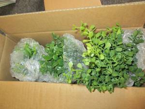 2 new packages of 3 fake plants in ...