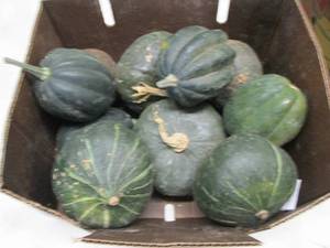 Half Bushel Winter Squash...