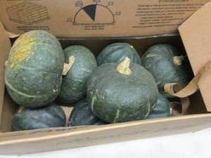 Half Bushel Winter Squash...