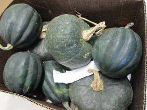 Half Bushel Winter Squash...
