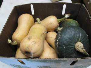 Half Bushel Winter Squash...