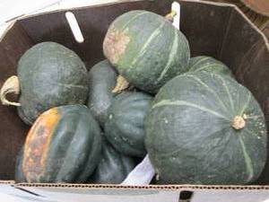 Half Bushel Winter Squash...