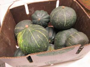 Half Bushel Winter Squash...