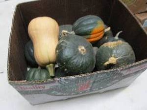 Half Bushel Winter Squash...