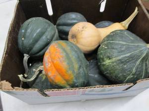 Half Bushel Winter Squash...